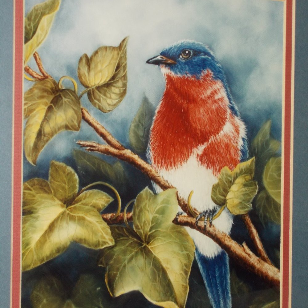 Gorgeous Vintage Bird Art by Penny Graham 1993, signed & professionally framed - Picture 3 of 6